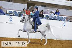 13r9_1503 proof