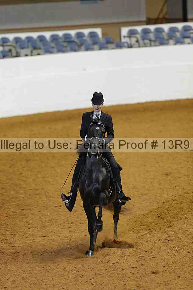 Proof 13r9_1504