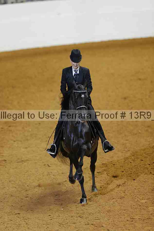 Proof 13r9_1505