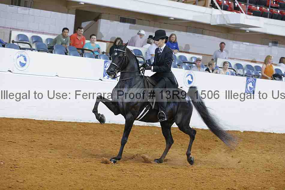 Proof 13r9_1506