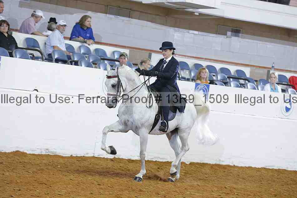 Proof 13r9_1509