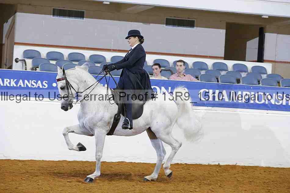Proof 13r9_1510