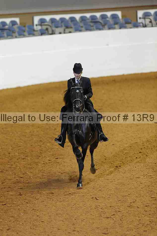 Proof 13r9_1513