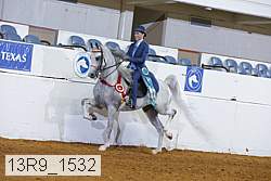 13r9_1532 proof