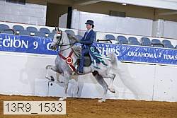 13r9_1533 proof
