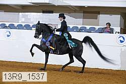 13r9_1537 proof