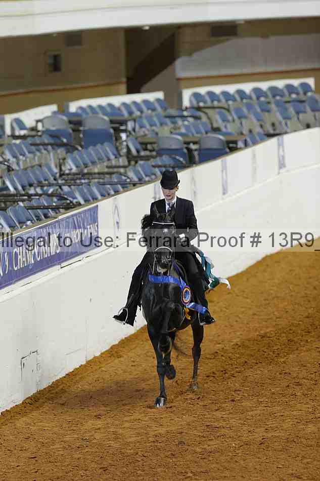 Proof 13r9_1538