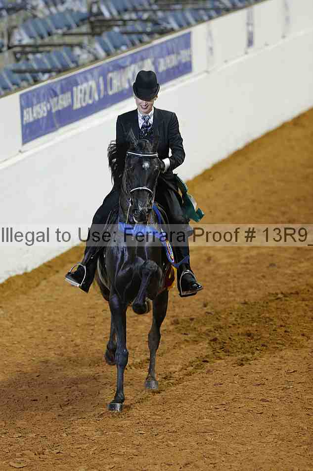 Proof 13r9_1539