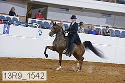 13r9_1542 proof