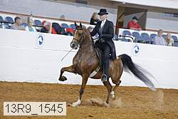 13r9_1545 proof