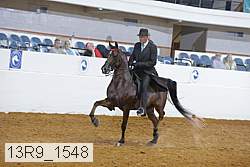 13r9_1548 proof