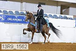 13r9_1562 proof