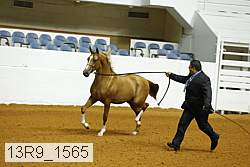 13r9_1565 proof
