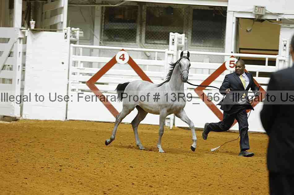 Proof 13r9_1567