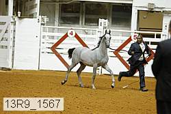 13r9_1567 proof