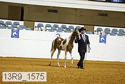 13r9_1575 proof