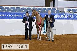 13r9_1591 proof
