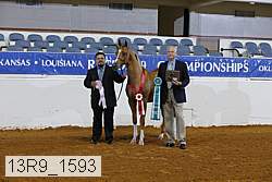 13r9_1593 proof