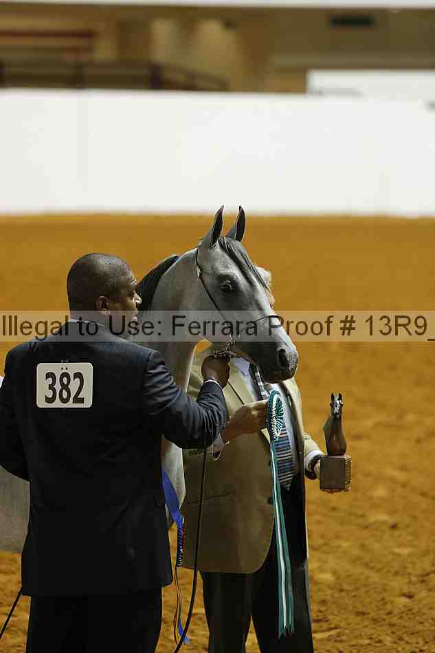 Proof 13r9_1598