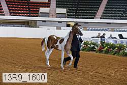 13r9_1600 proof
