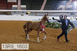 13r9_1603 proof
