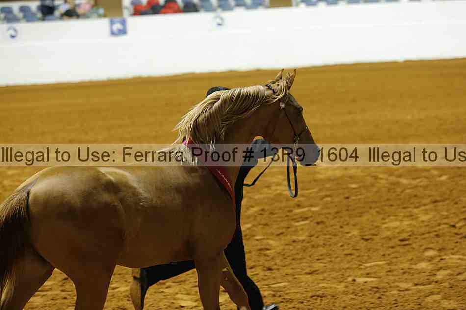 Proof 13r9_1604