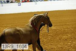 13r9_1604 proof