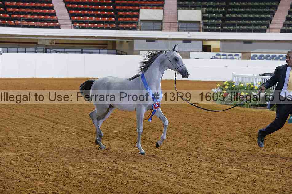 Proof 13r9_1605