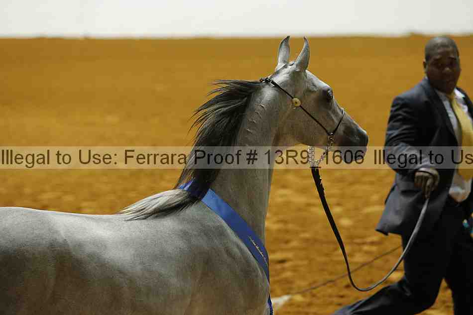 Proof 13r9_1606