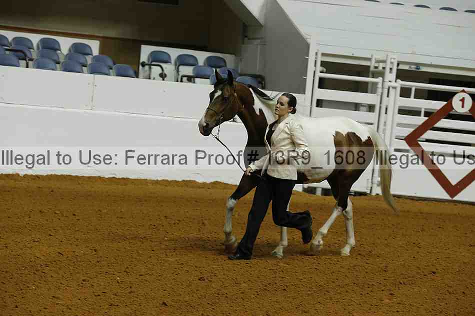 Proof 13r9_1608