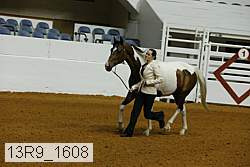 13r9_1608 proof