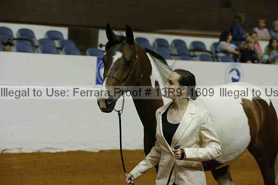 Proof 13r9_1609