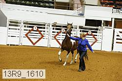 13r9_1610 proof