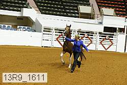 13r9_1611 proof