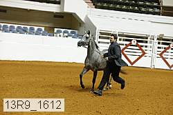 13r9_1612 proof