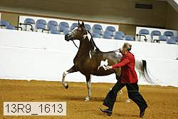13r9_1613 proof