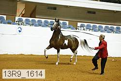 13r9_1614 proof