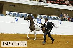 13r9_1615 proof