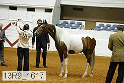 13r9_1617 proof