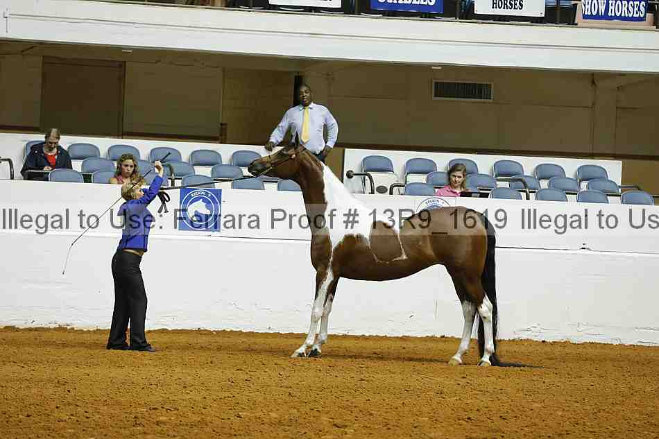 Proof 13r9_1619