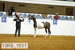 13r9_1631 proof