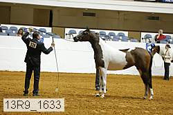 13r9_1633 proof