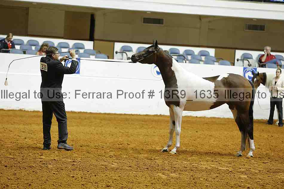 Proof 13r9_1635