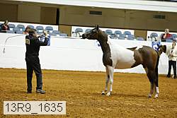 13r9_1635 proof