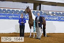 13r9_1644 proof