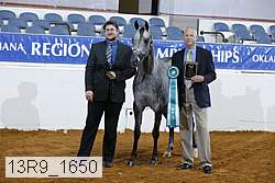 13r9_1650 proof