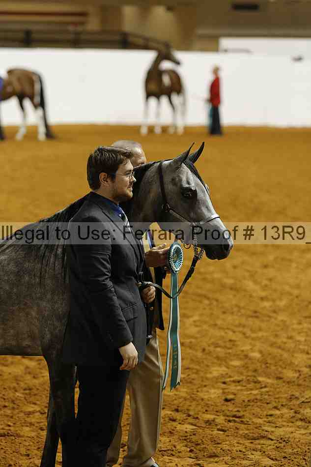 Proof 13r9_1652