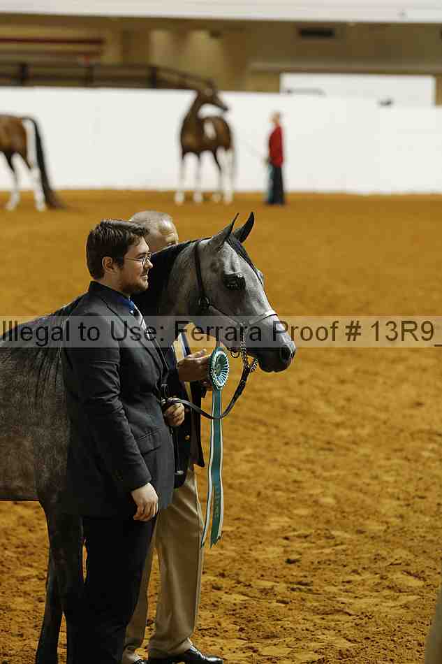 Proof 13r9_1653