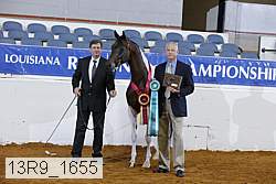 13r9_1655 proof