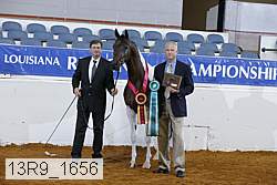 13r9_1656 proof